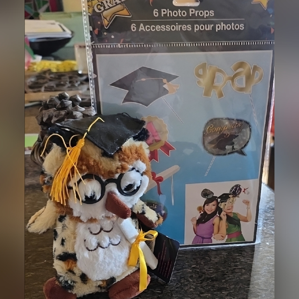 Brown and White Owl & Party Photo Posing Decorations Set for Graduation